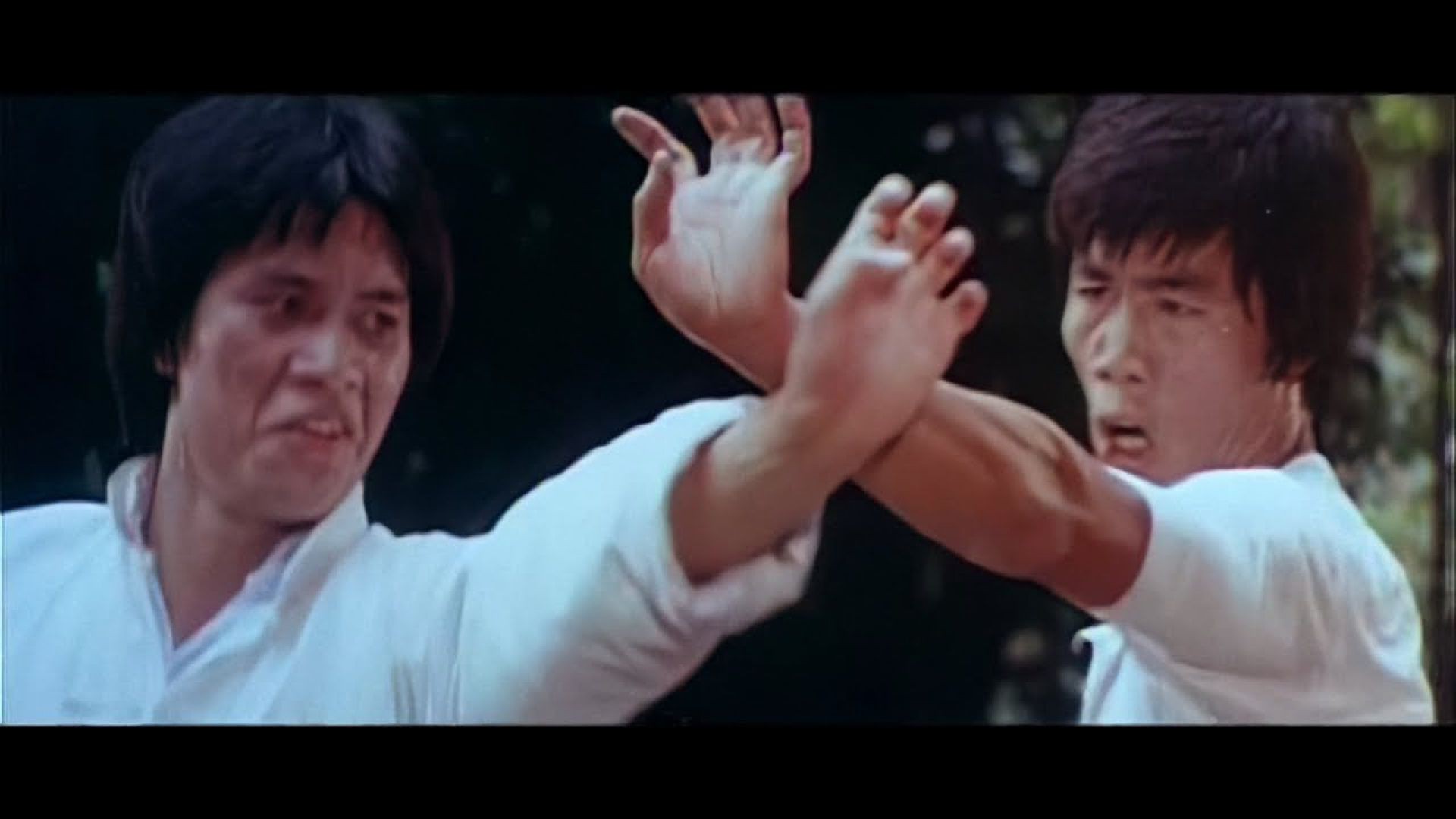 The Dragon The Hero 1979 full movie